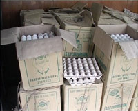 Man fined Nu. 25,000 for smuggling eggs