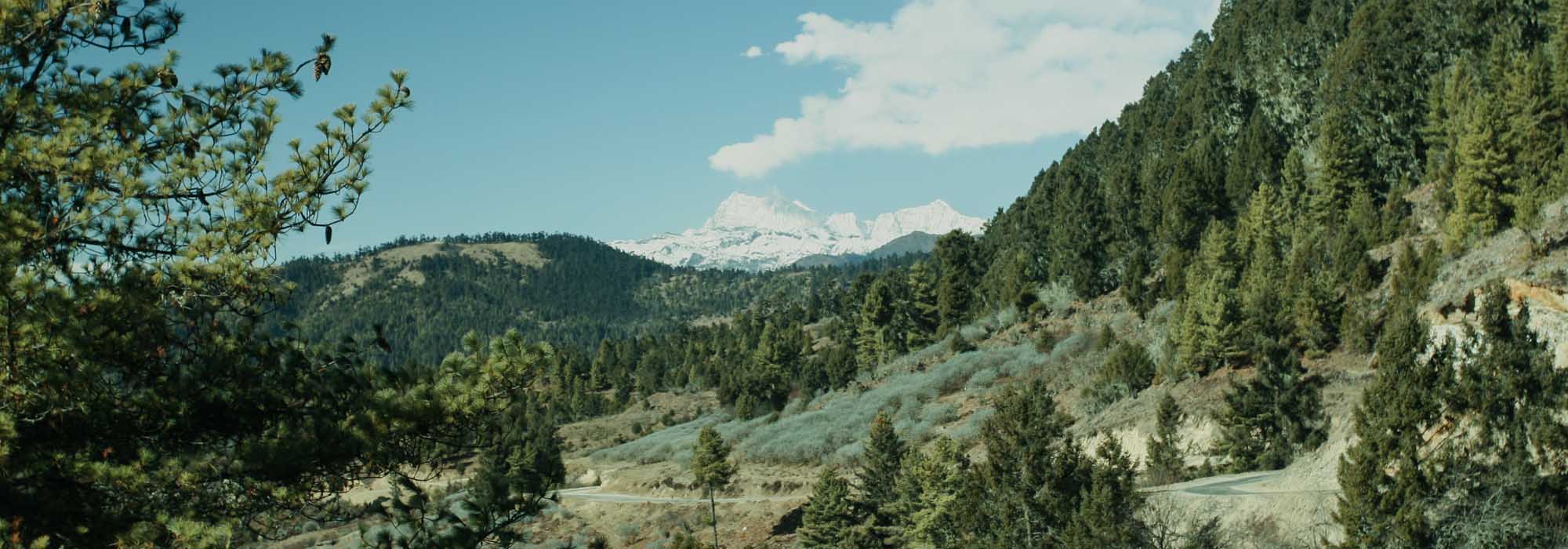 Argentina in Bhutan