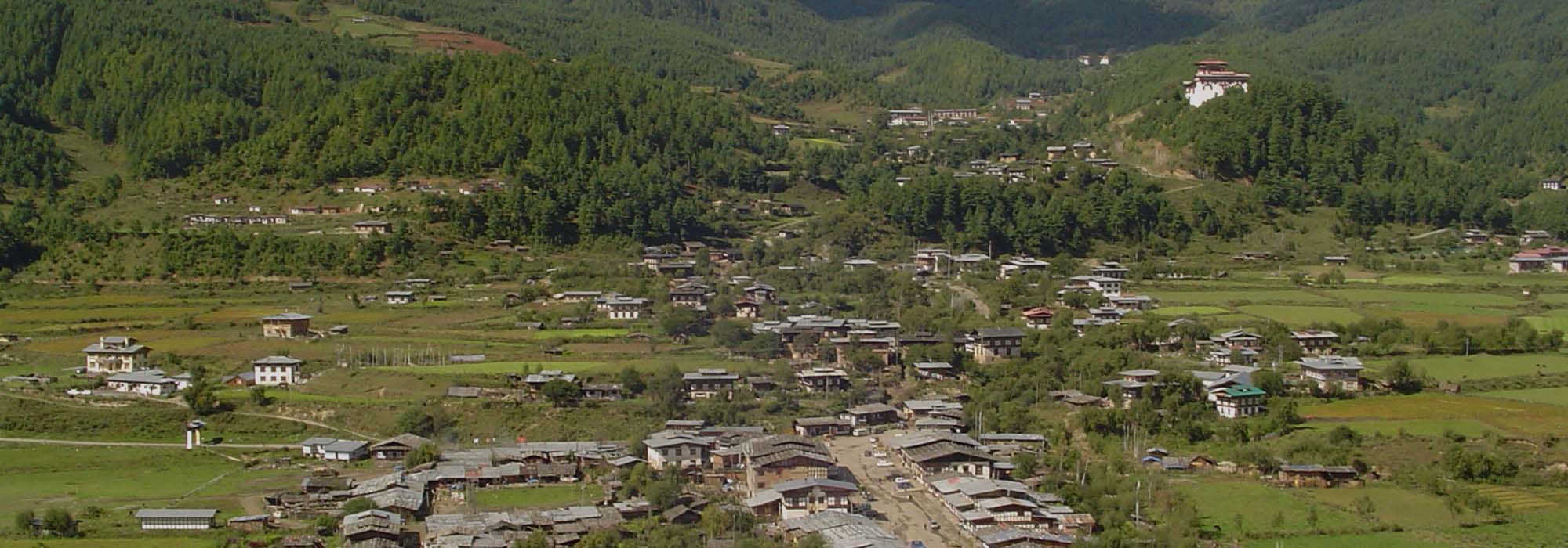 Bumthang Owl Trek